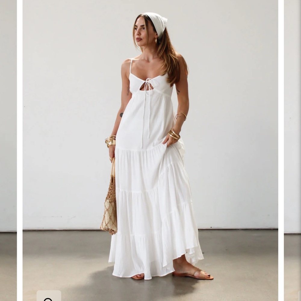 NWT Scenic Route Dress
